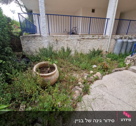 גינה עם עציץ גדול וצמחייה ירוקה ליד מרפסת